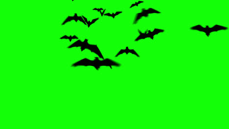 Halloween-bats-flying-loop-animation-Halloween-concept-element-with-alpha-channel